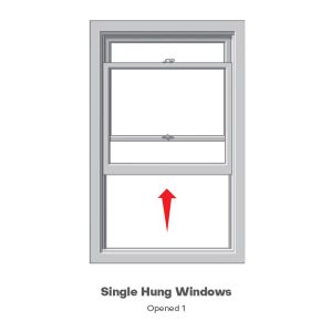 Single hunging windows